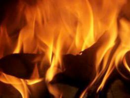 7. Kamingespräch Steglitz-Zehlendorf